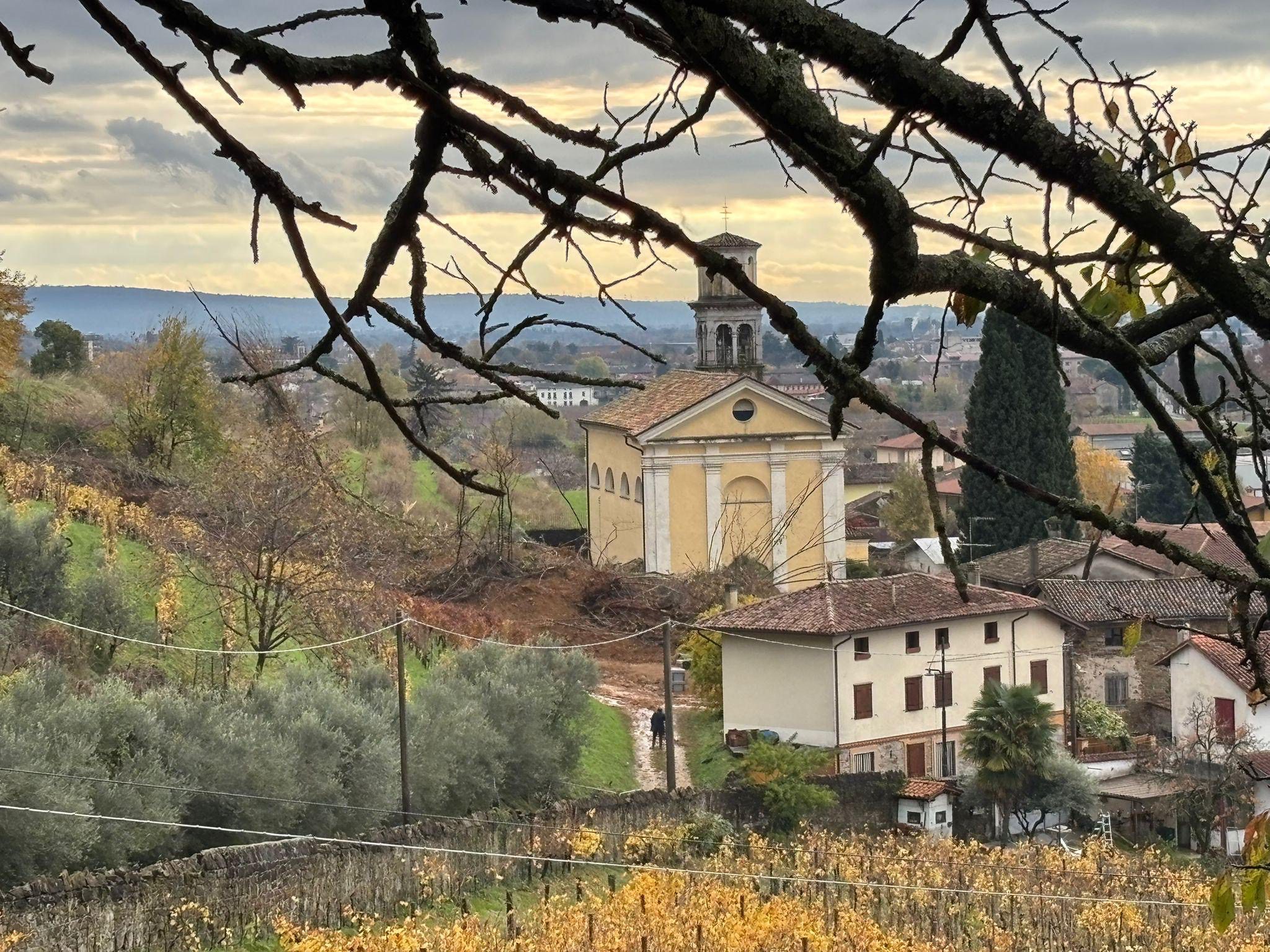 Tabarrini winery cellar