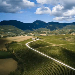 Italian Wine Podcast blog