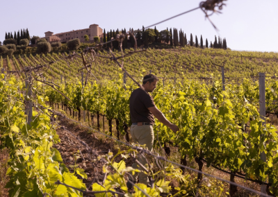 How Can Wine Be More Sustainable? ColleMassari Has Been Thinking About It for Decades